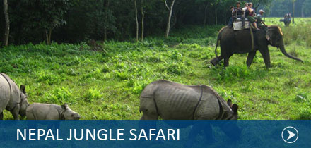 Nepal Jungle safari